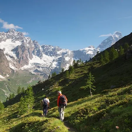 Maison Carrel Elegant 12