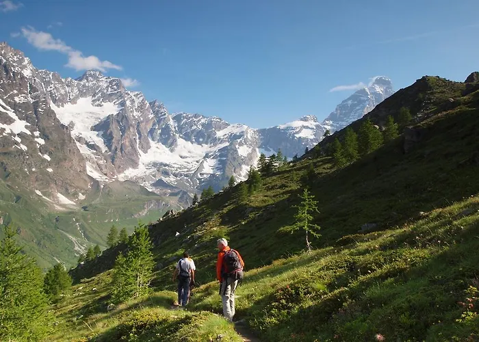 Maison Carrel Elegant 12