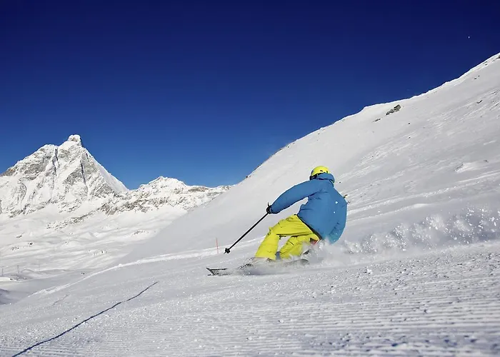 Maison Carrel Elegant 12